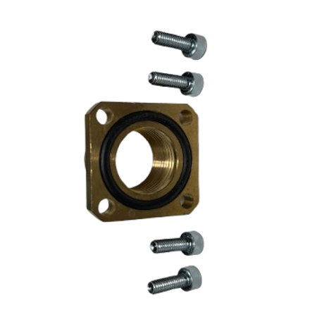 Dungs 244439 Straight Flange with O-Ring and Screws