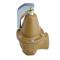 Watts 0383742 Boiler Pressure Relief Valve