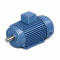 NEMA Premium Efficiency Electric Motor