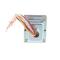 Johnson Controls Y65T42-0 Transformer 120/208/240V Primary 24V Secondary 40VA Capacity