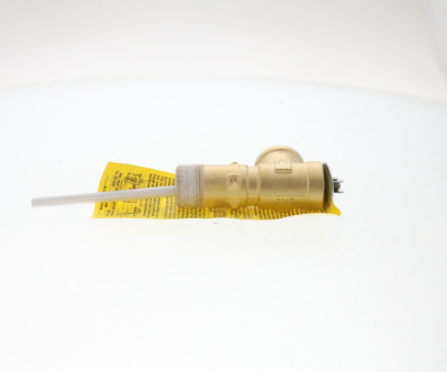 Rheem AP14901G-1 Temp&Pressure Relief Valve