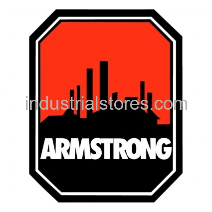 Armstrong Pumps 817025-001 Pump Motor 1/6Hp 110V