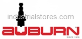 Auburn 205U Cleaver Brooks Electrode