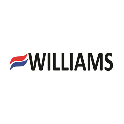 Williams Comfort Products 696541.9 Vent-Free Liquid Propane Gas Heater 6,000 Btu
