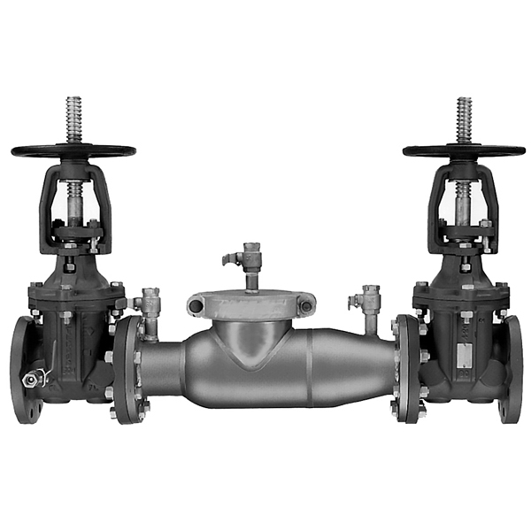 Watts 0438041 Double Check Valve Assembly 10" (774-OSY)