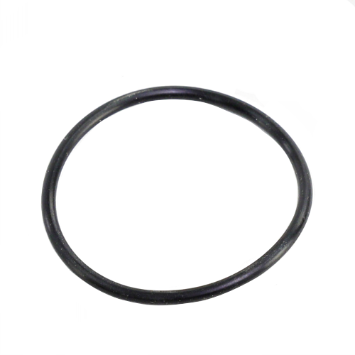 Watts 1101931 Gasket