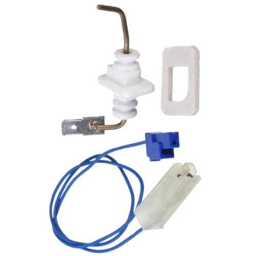 Rheem RTG20212BG Electrode FL2