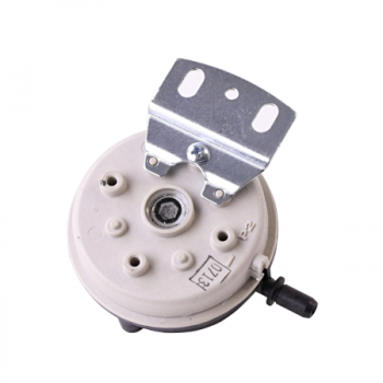 Lochinvar 100110729 Prover Switch