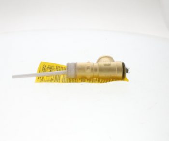 Rheem AP14901G-1 Temp&Pressure Relief Valve