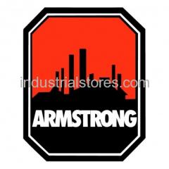 Armstrong Pumps 817025-001 Pump Motor 1/6Hp 110V