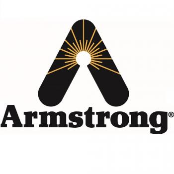Armstrong International D61678 Single Heat Exchanger with Gasket