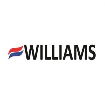 Williams Comfort Products 696541.9 Vent-Free Liquid Propane Gas Heater 6,000 Btu