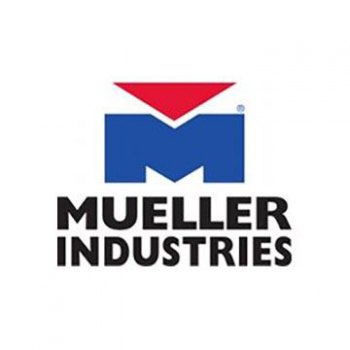 Mueller Industries A18659C Check Valve 90-Degree 1-1/8"