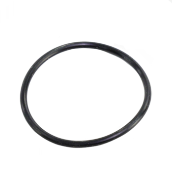 Watts 1101931 Gasket
