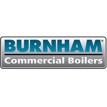 Burnham Boiler 6033507 Tankless Water Heater Coil