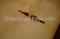 Bradford White 239-82034-00 Temperature Sensor (Lower)