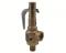 Conbraco 19-LFEL-45 Bronze Safety Valve Stainless Trim and Teflon Seat F-Orifice 1" Section VIII Steam 45 psi