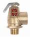 Conbraco 10-102-10 Hot Water Safety Relief Valve 3/4" x 1" 50psi 1035000Btu