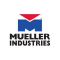 Mueller Industries A18659C Check Valve 90-Degree 1-1/8"