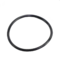 Watts 1101931 Gasket