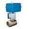 Watts 0123437 Electric Motor Valve 2" LFEMVII6400SS-350115-40
