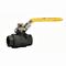Watts 0548000 Full Port Carbon Steel Ball Valve 1/4" (C-FBV-1)