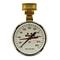 Watts 0069721 Water Pressure Test Gauge 0-300psi (276H300)