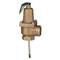 Watts 0259670 Automatic Reseating Temperature & Pressure Relief Valve 75psi 210F 1" (140X6)